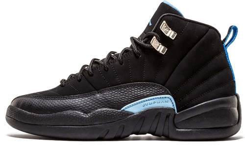 Jordan Air Jordan 12 GS
