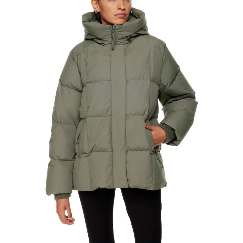 ARITZIA Babaton Crown Puffer