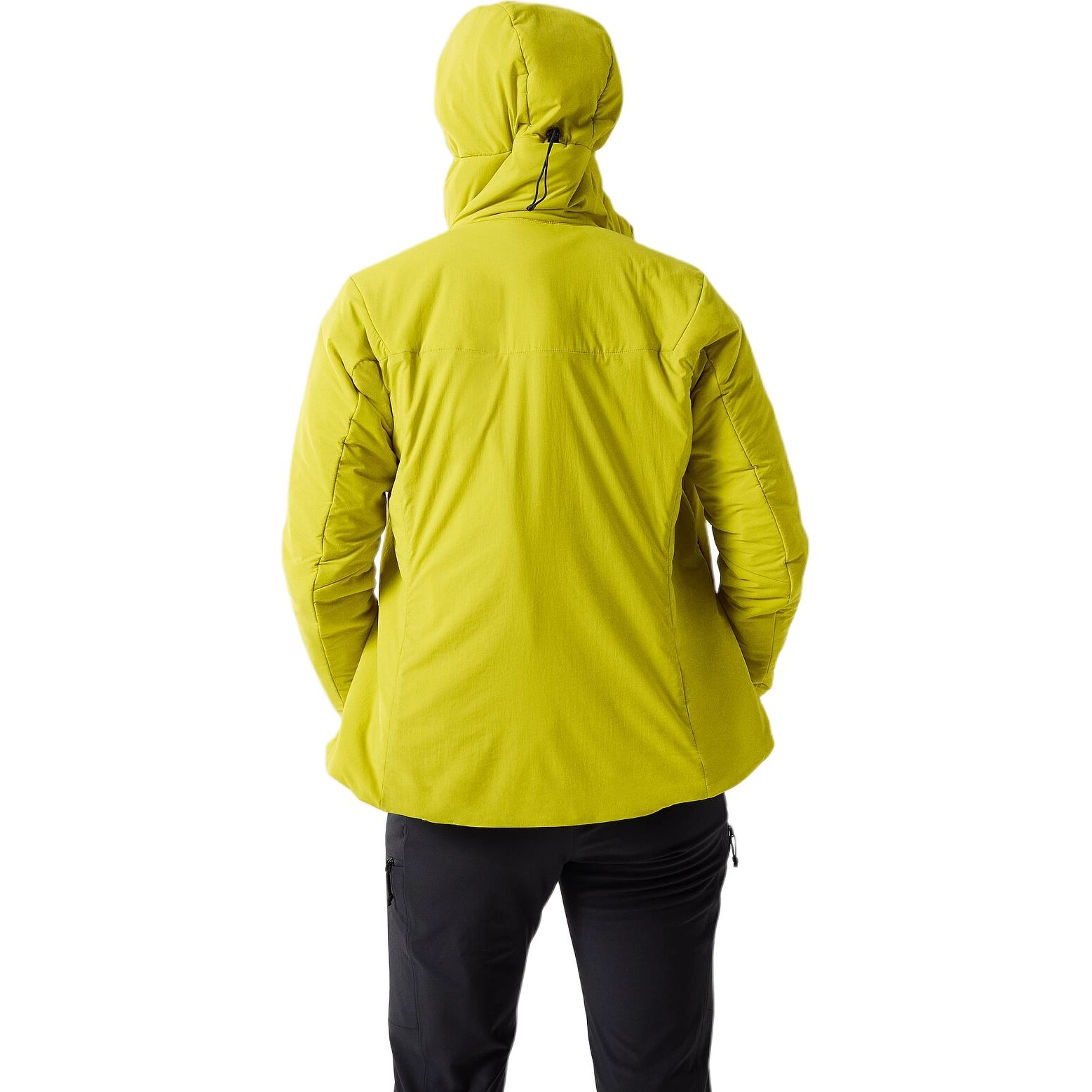 Arcteryx Proton Hoddy