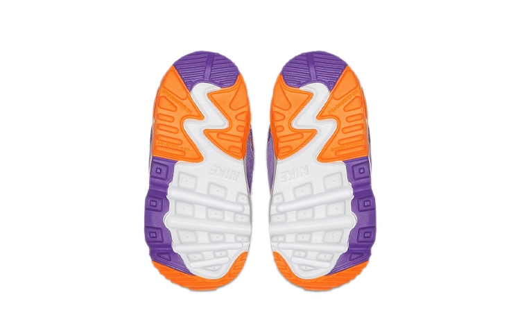 Nike Air Max 90 "Viotech" OG