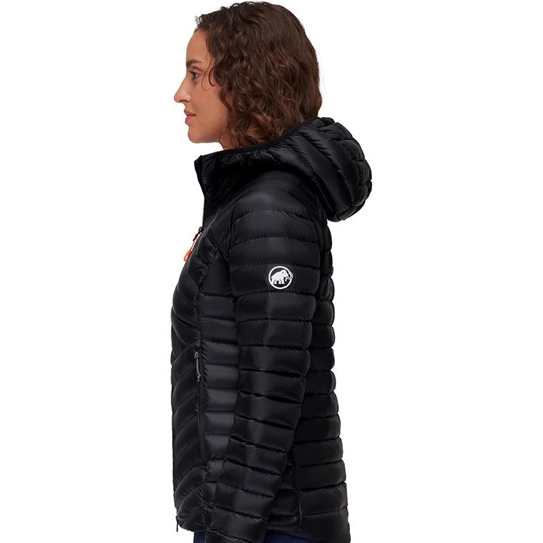 MAMMUT Broad