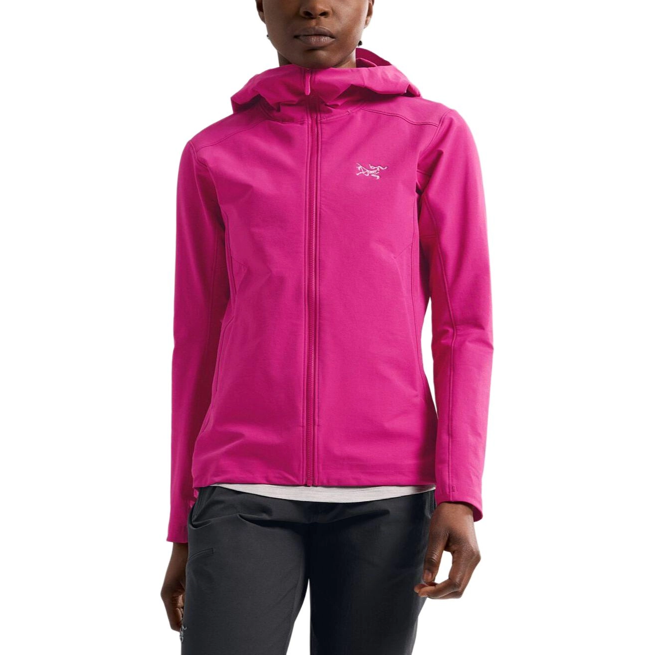 Arcteryx GAMMA gamma hoody
