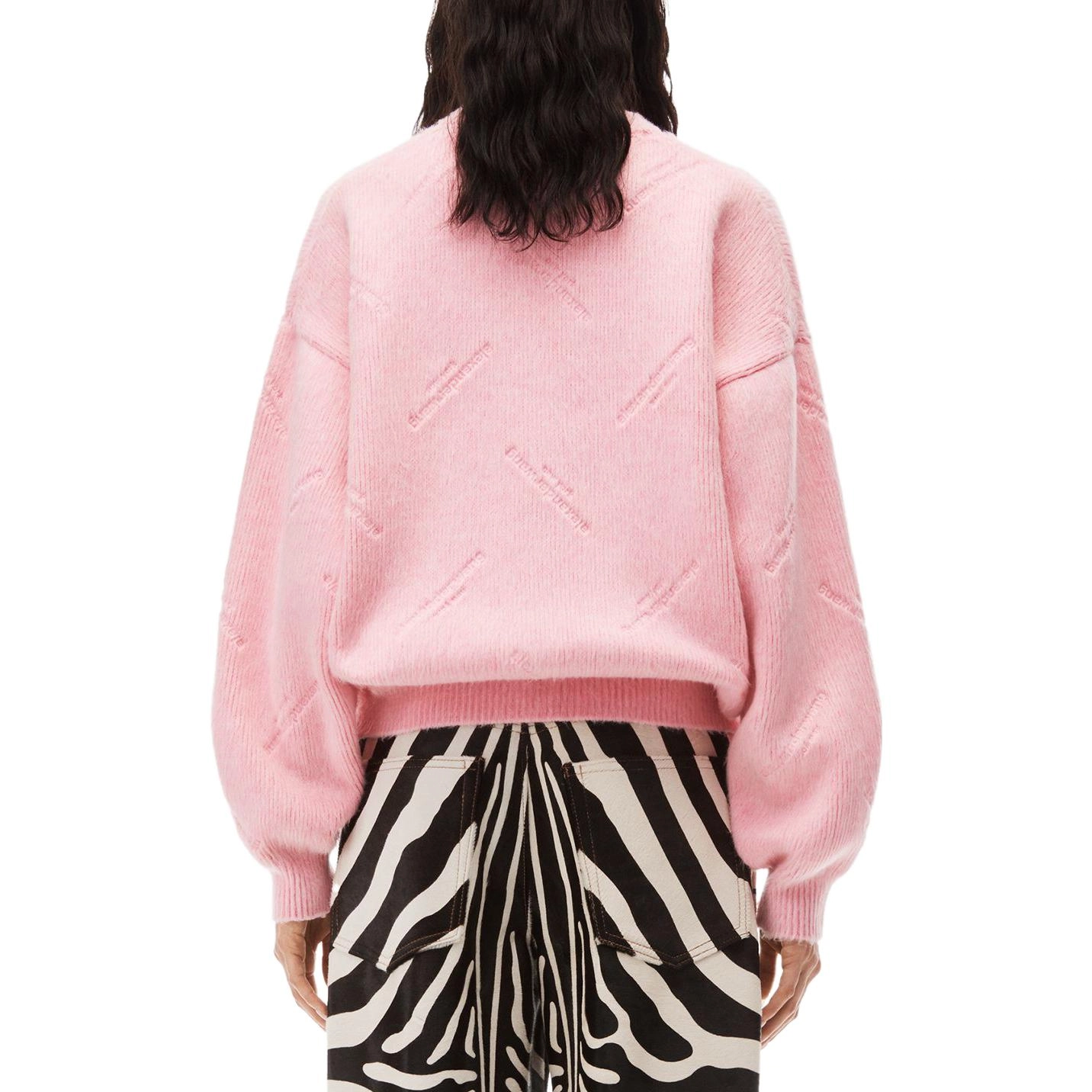 alexander wang FW23