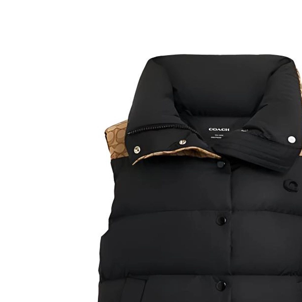 COACH FW23 Logo