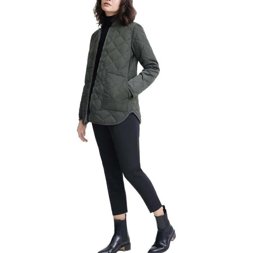 THEORY FW22