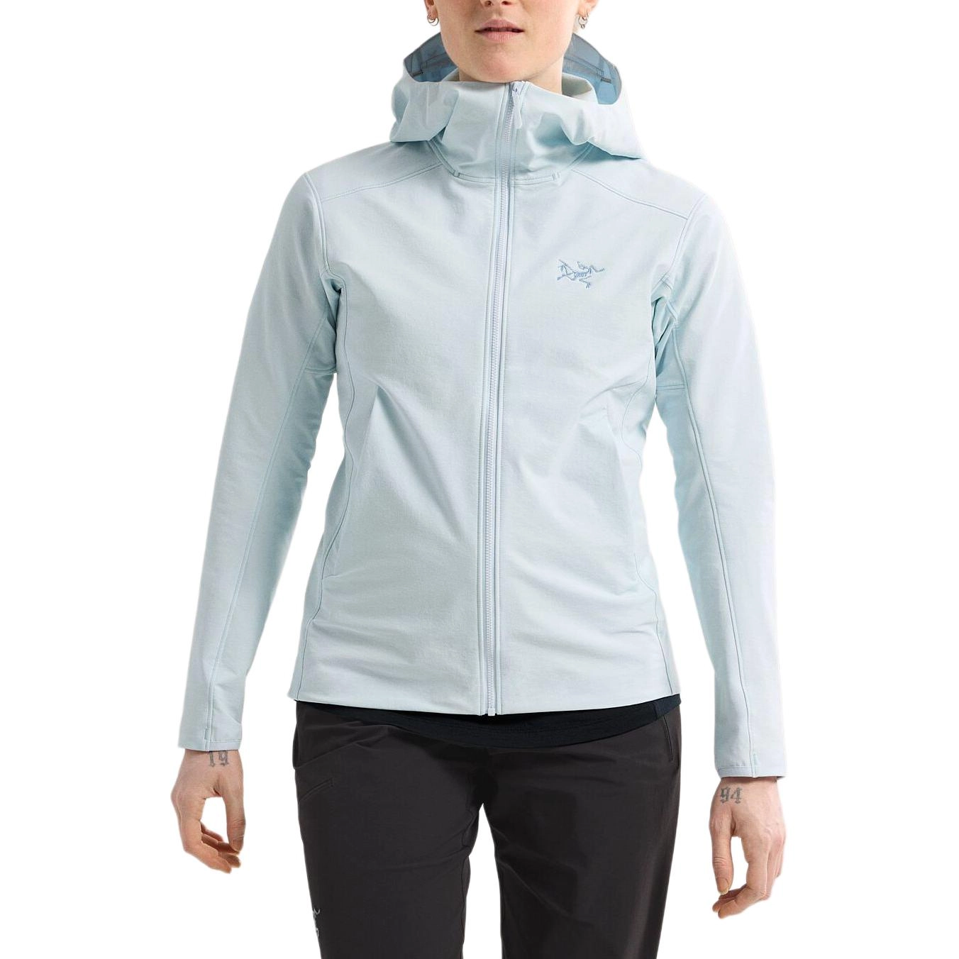 Arcteryx GAMMA gamma hoody