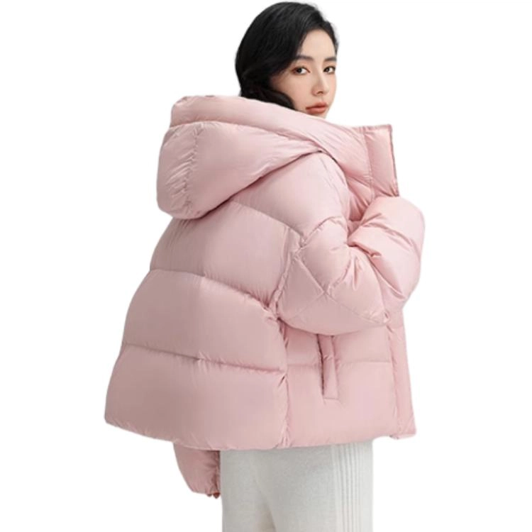 FW24
