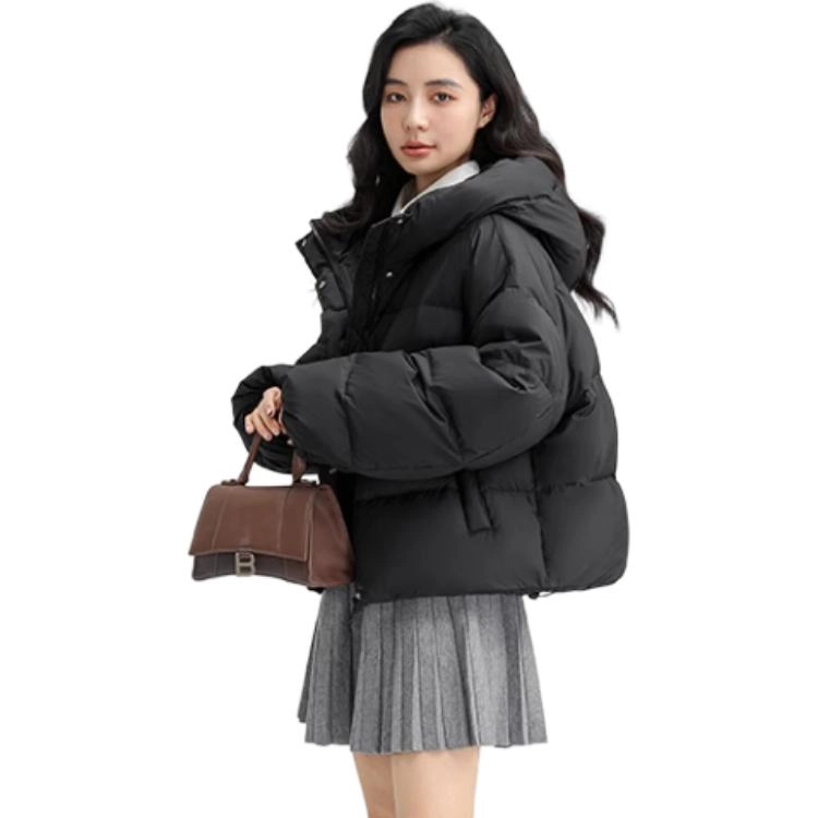 FW24