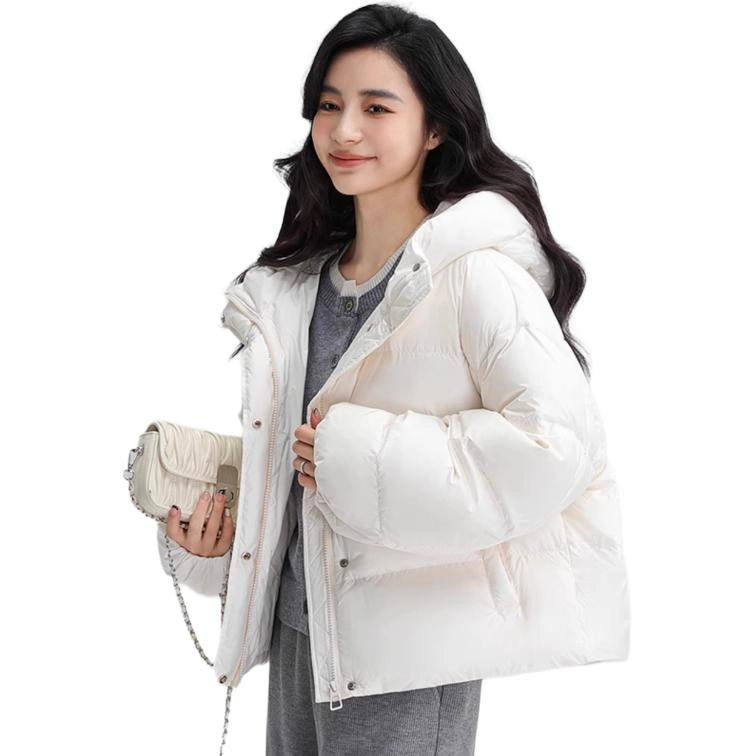 FW24