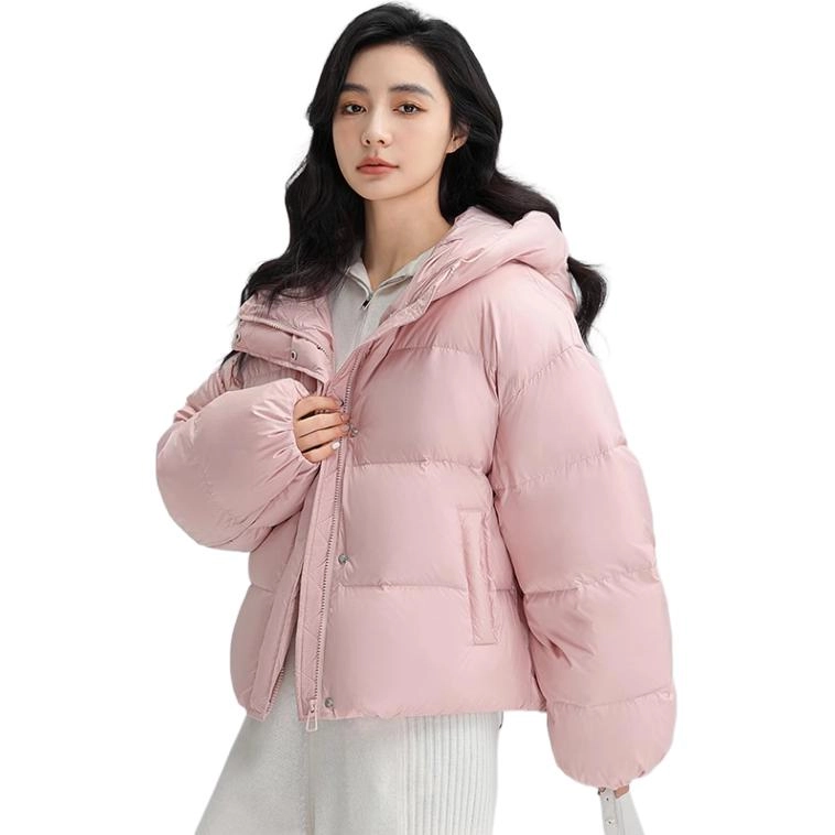 FW24