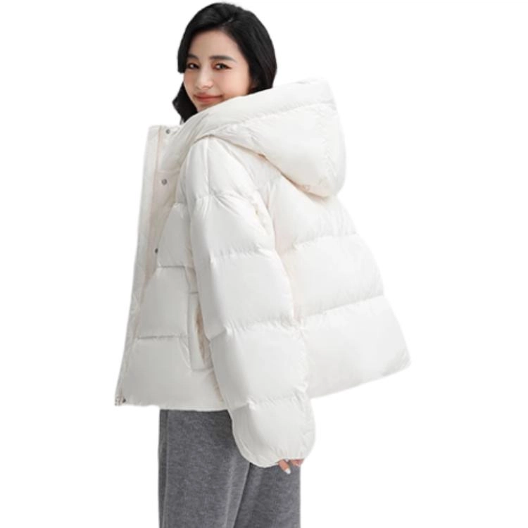 FW24