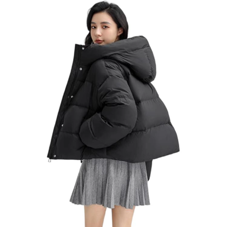 FW24