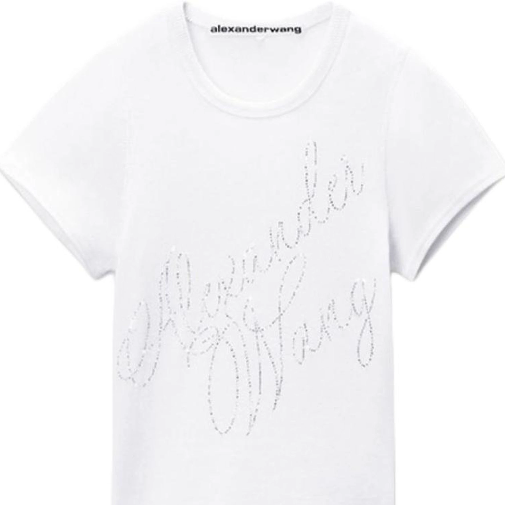 alexander wang FW24 T