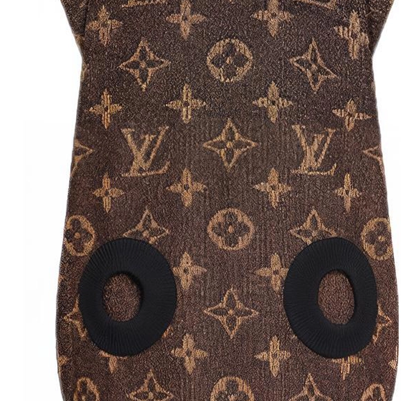 LOUIS VUITTON FW21 Monogram