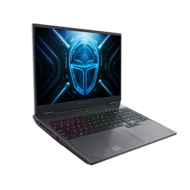 ThundeRobot 15 i7-14700HX RTX 4060 2.5K