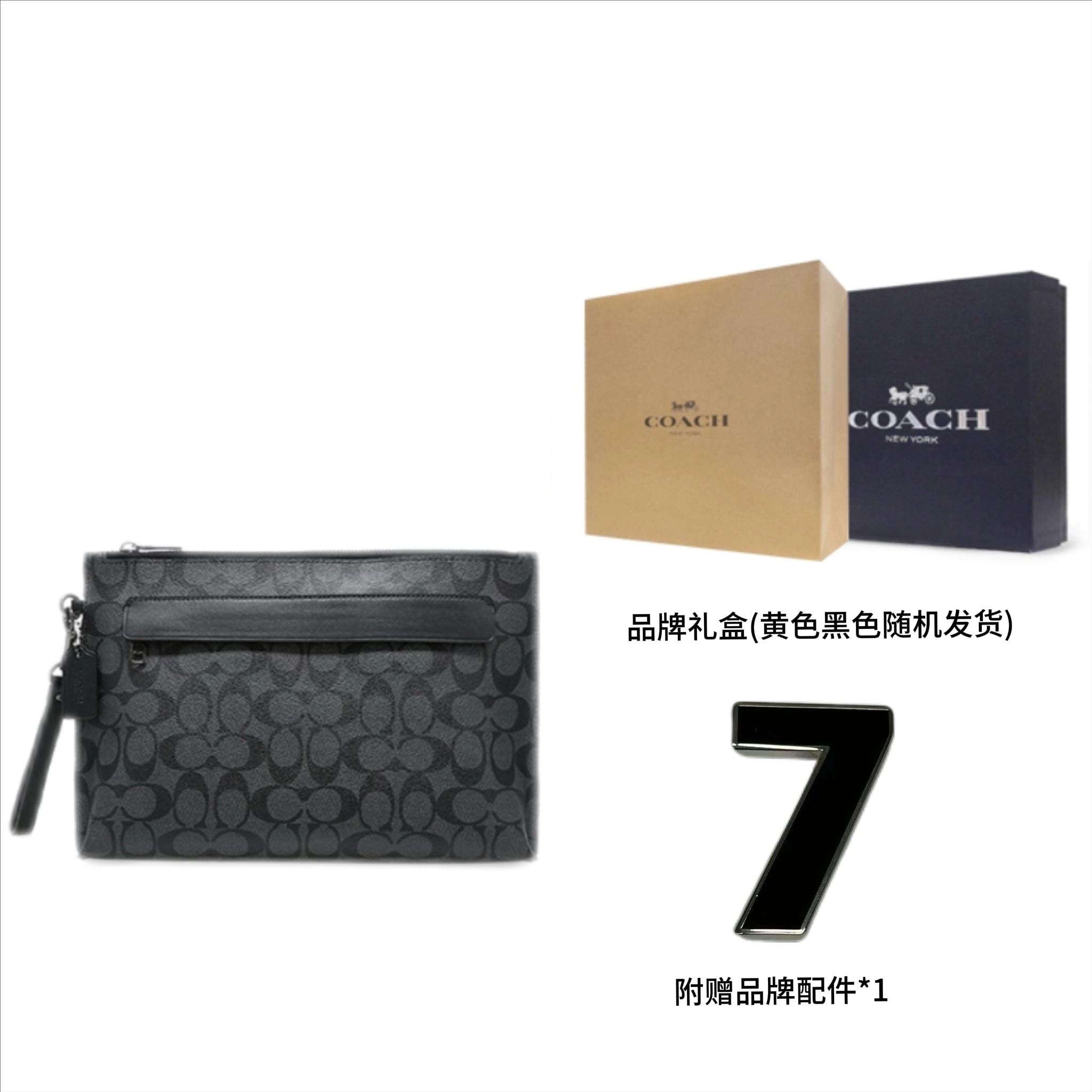 COACH Pouch 30 Logo