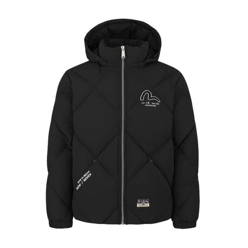 EVISU 2024