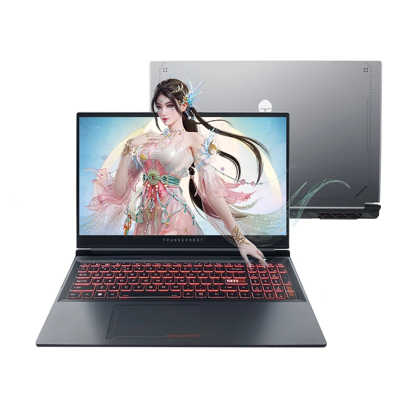 ThundeRobot 15 i7-14700HX RTX 4060 2.5K
