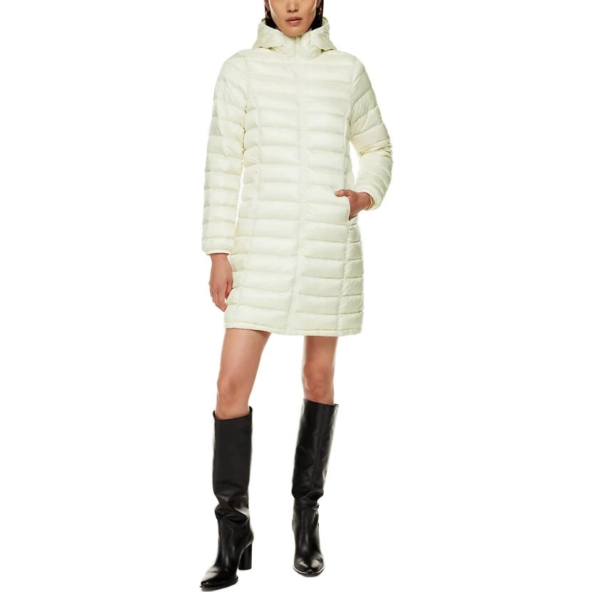 ARITZIA Group by Babaton Foundation Puffer Long