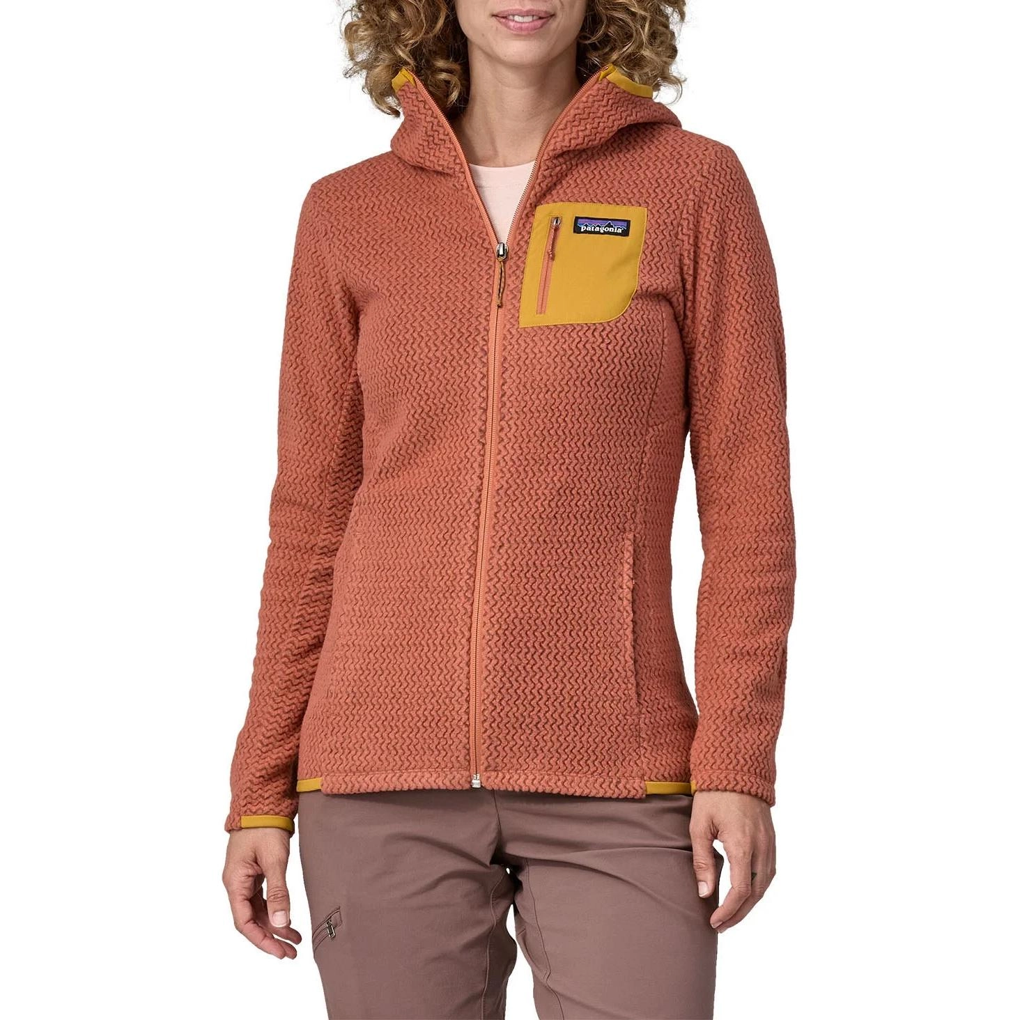 patagonia R1 Air Logo