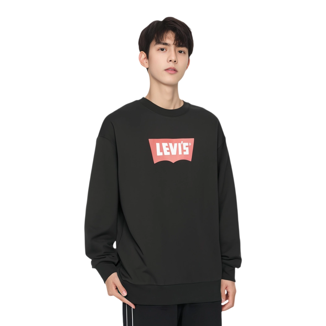 levis FW24 logo