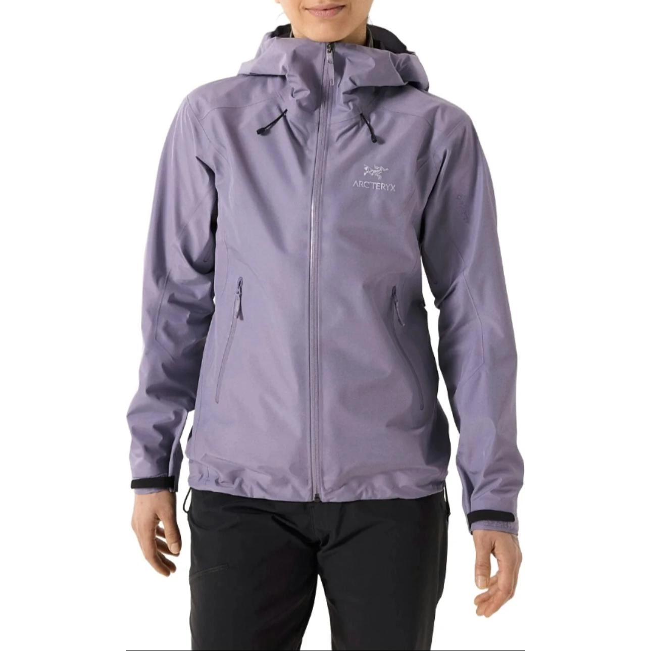Arcteryx Beta Beta lt Jacket