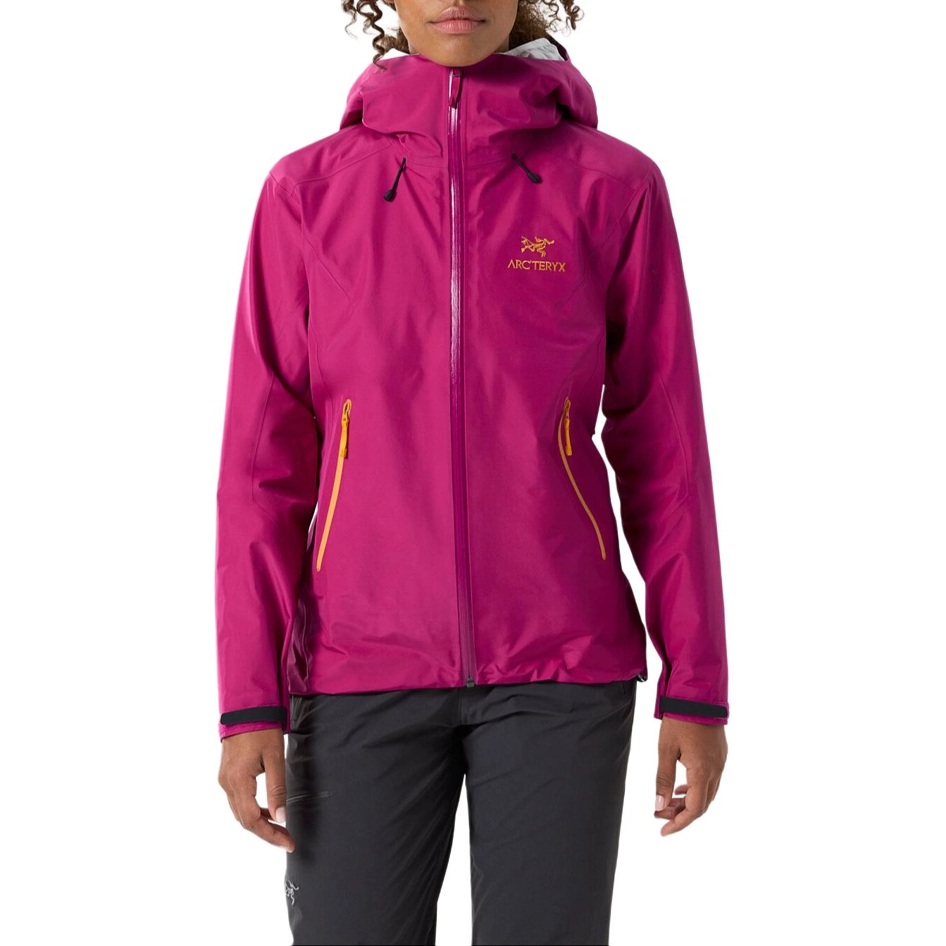 Arcteryx Beta Beta lt Jacket