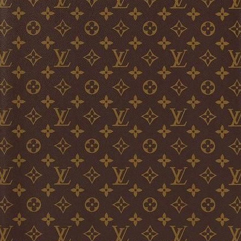 LOUIS VUITTON Horizon 55