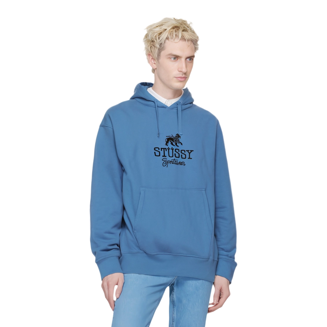 Stussy FW24 SPORTSWEAR HOODIE logo