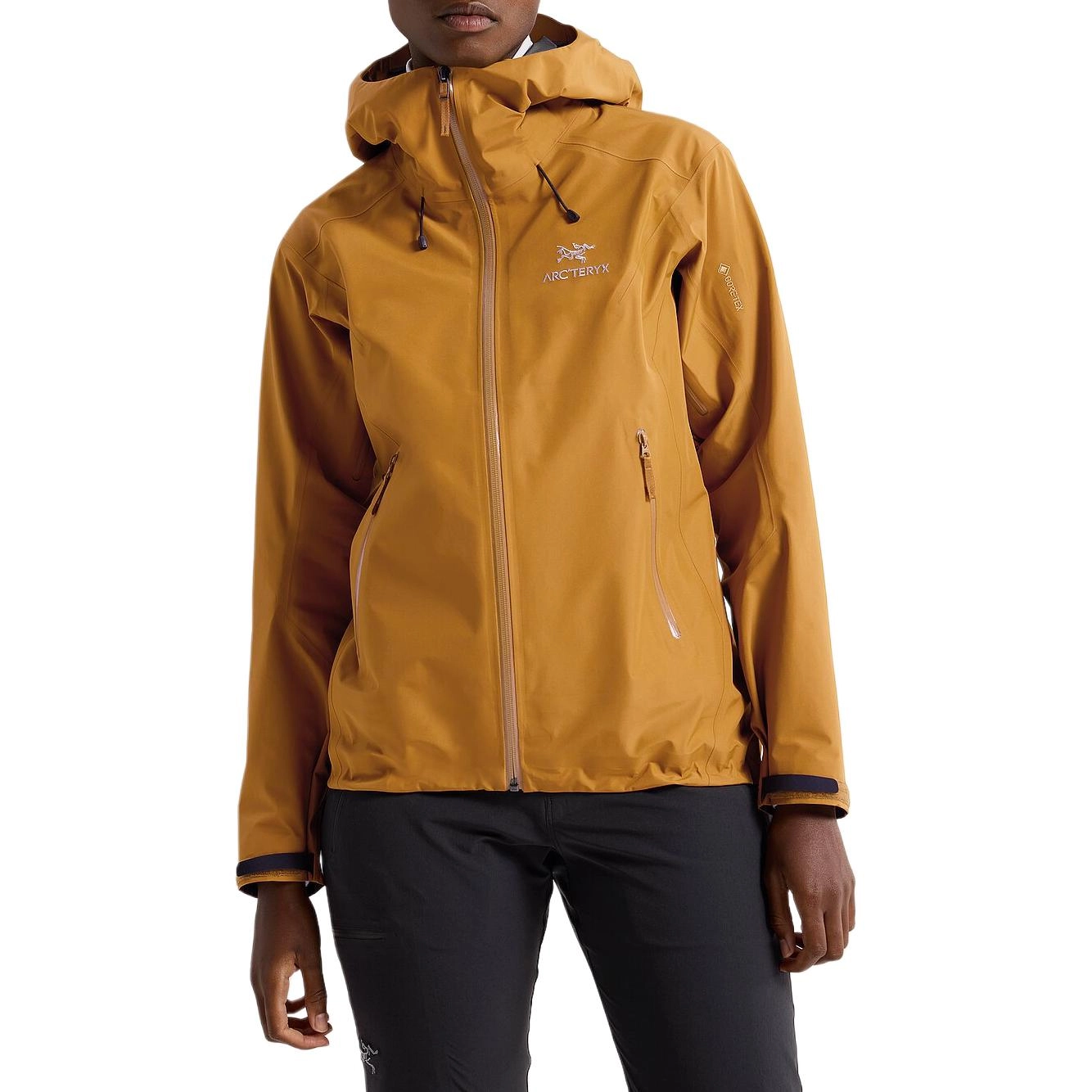 Arcteryx Beta Beta lt Jacket