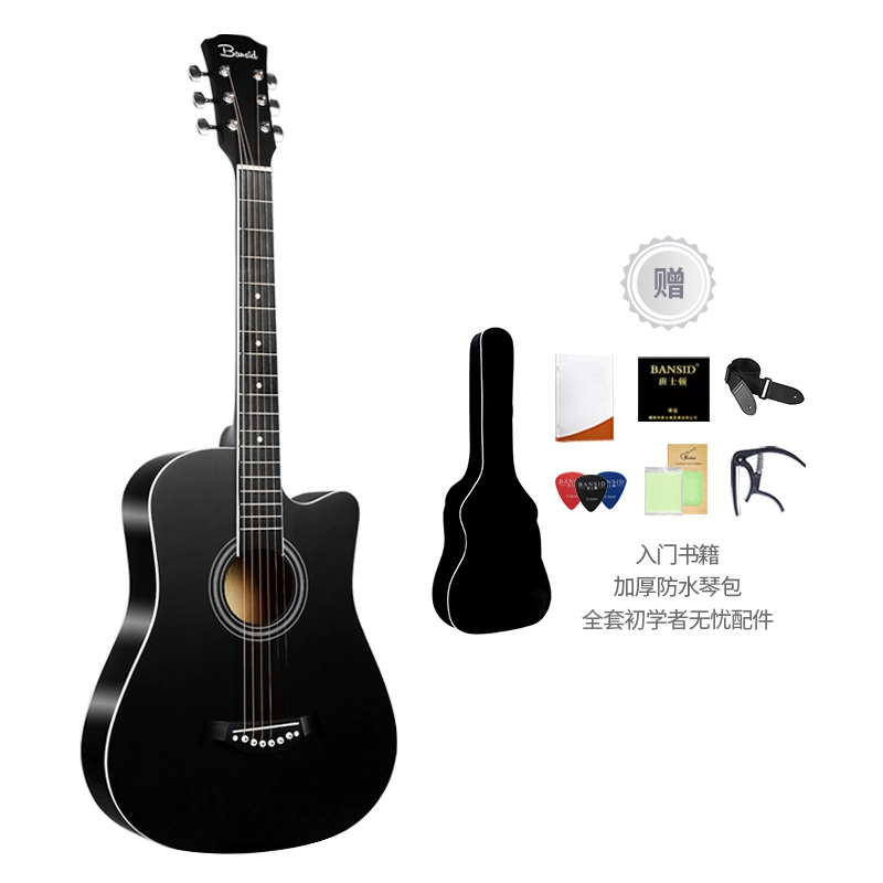 BANSID R-B77C