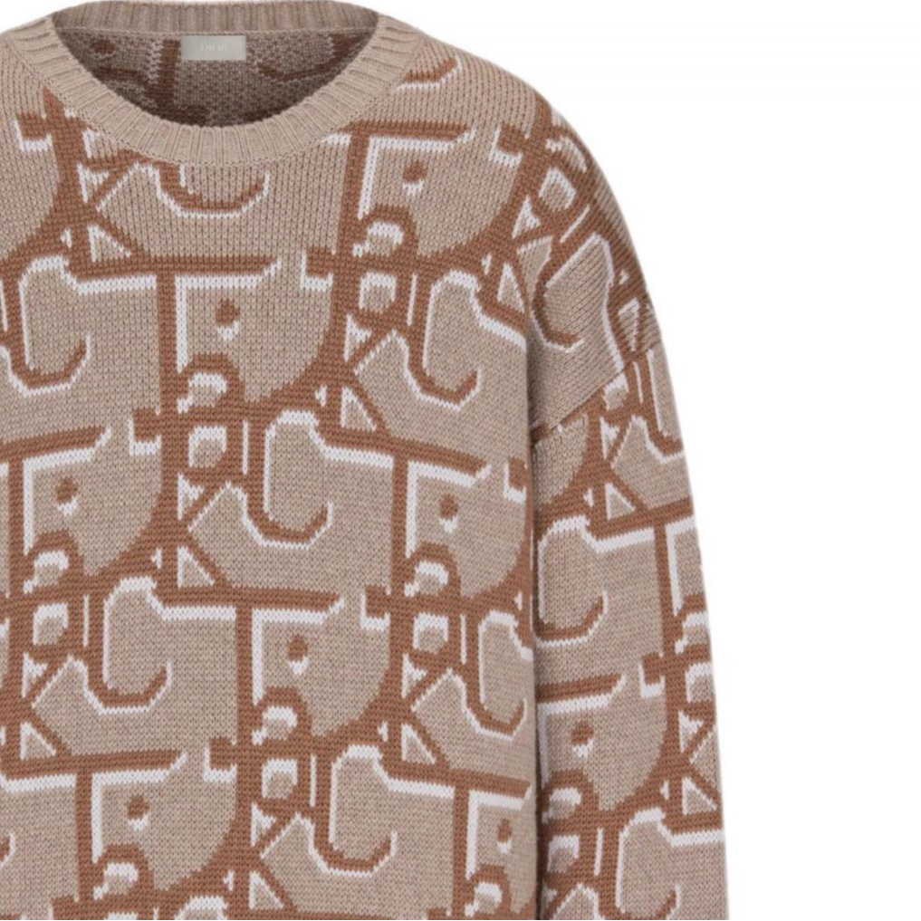 DIOR x Travis Scott FW22 Cactus Jack Logo