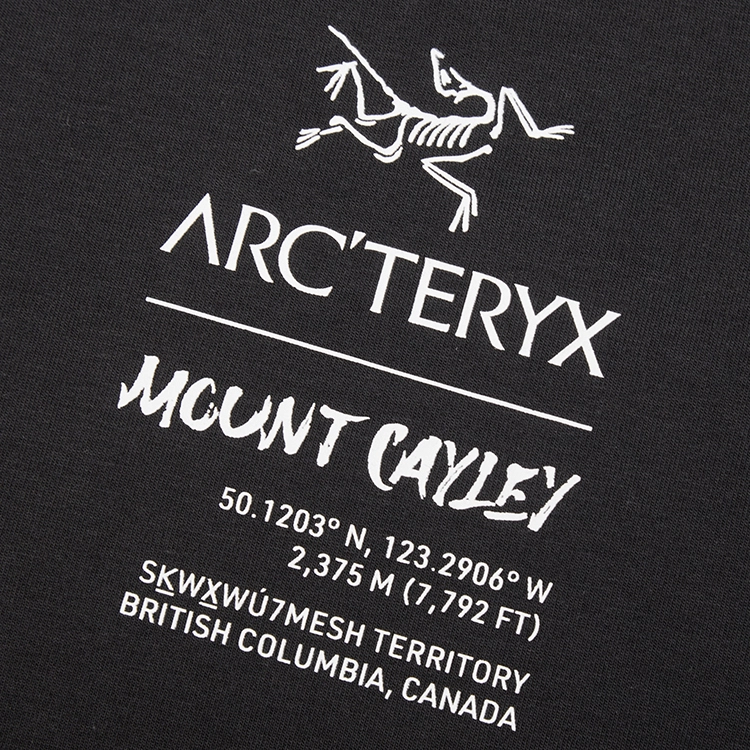 Arcteryx Captive LegendT