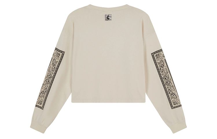 Champion FW24 skate street T