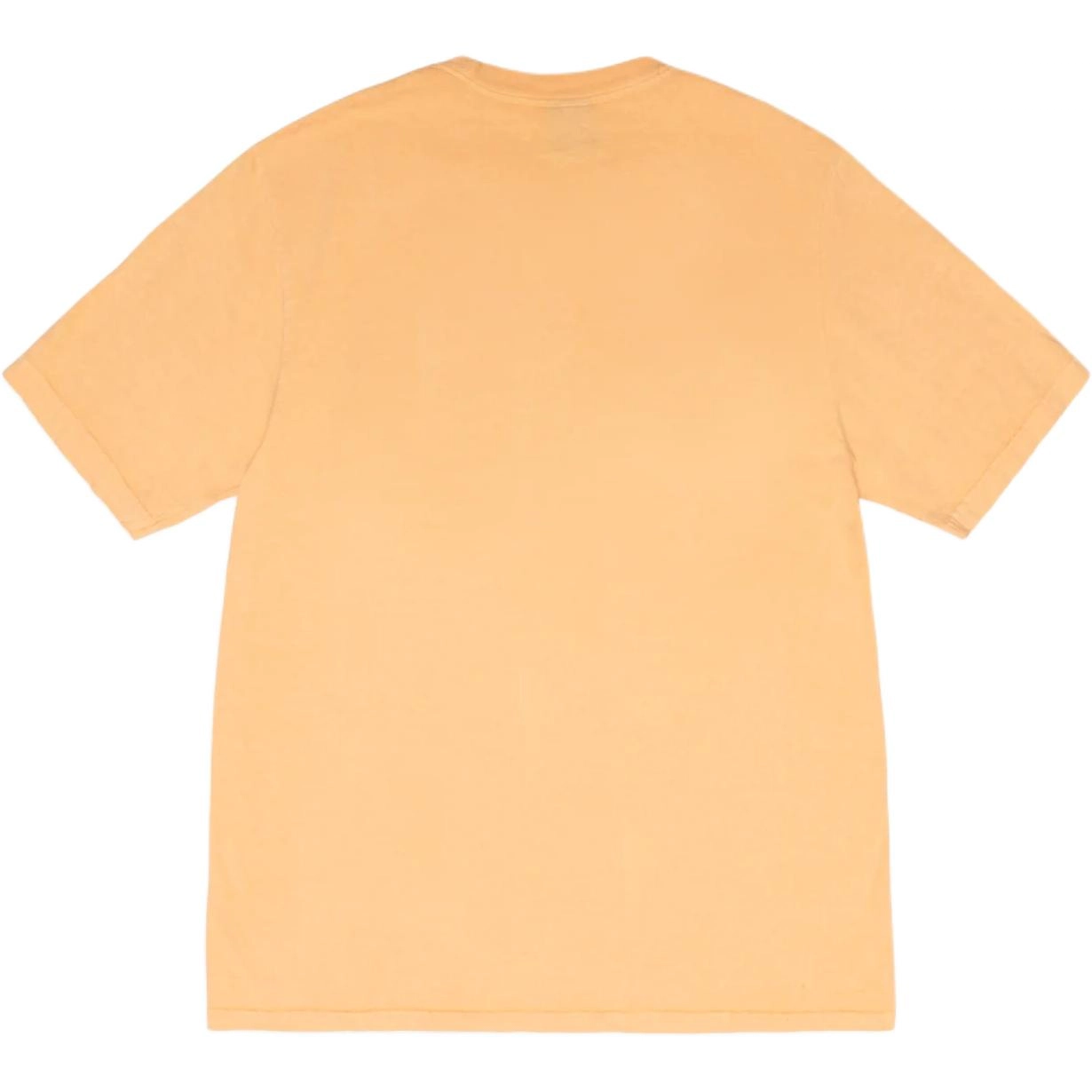Stussy x OUR LEGACY FW24 WORK SHOP COLLEGIATE TEE PIGMENT DYED logoT