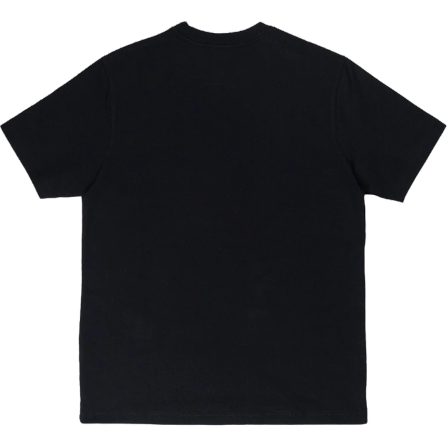 New Era FW24 T