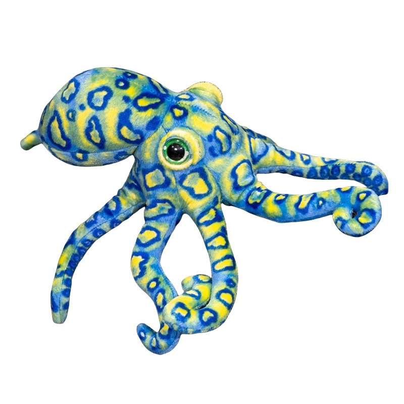 lionf 30cm