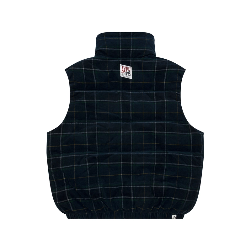 Aape