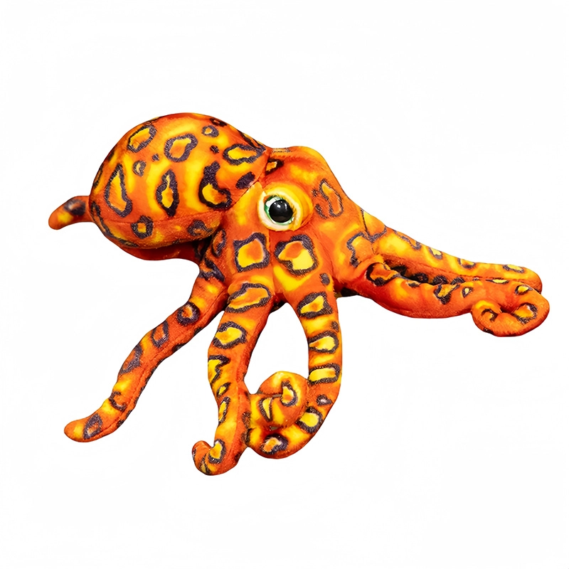 lionf 30cm