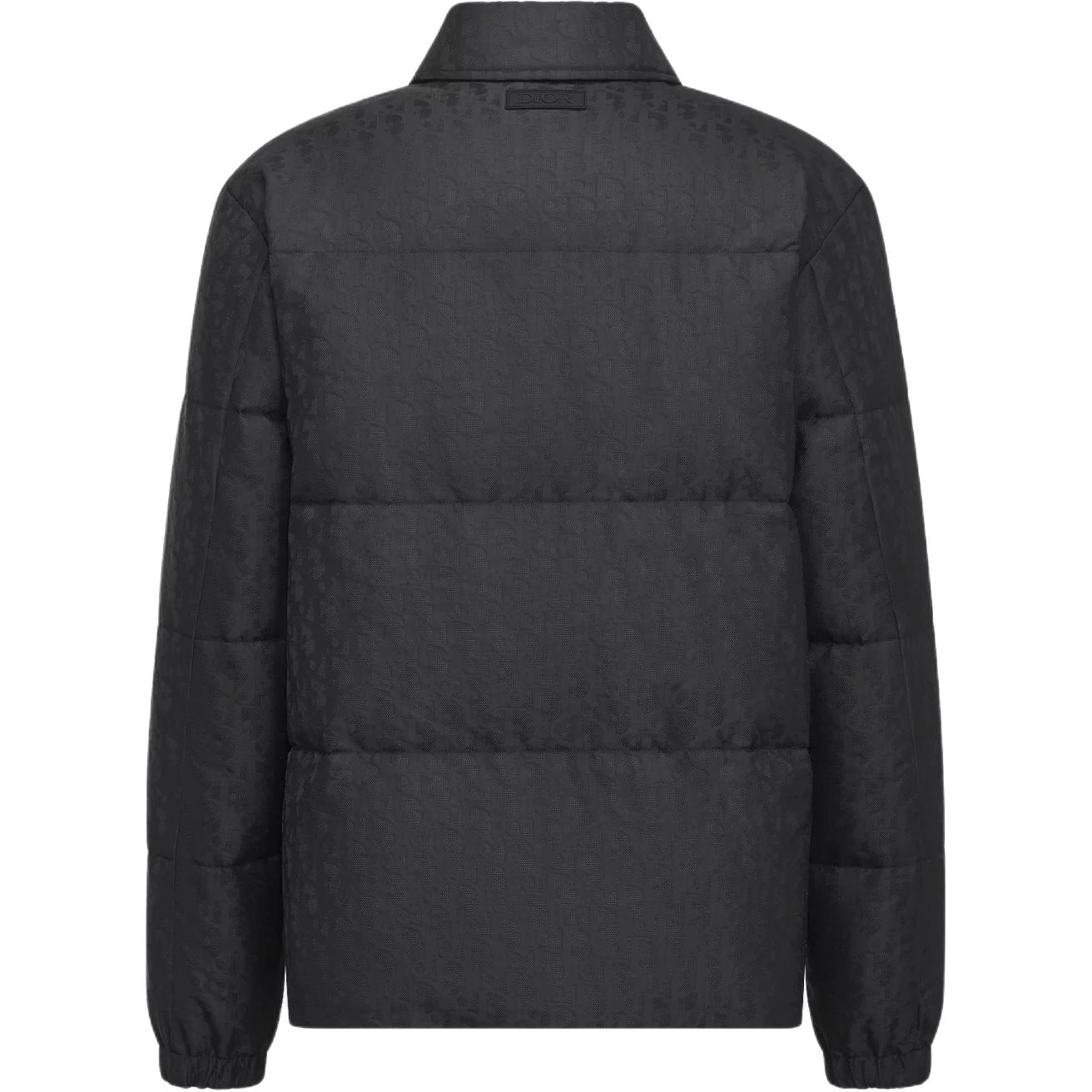 DIOR FW24 logo