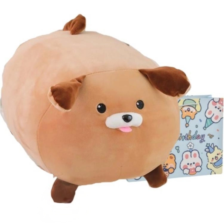 19cm22cm