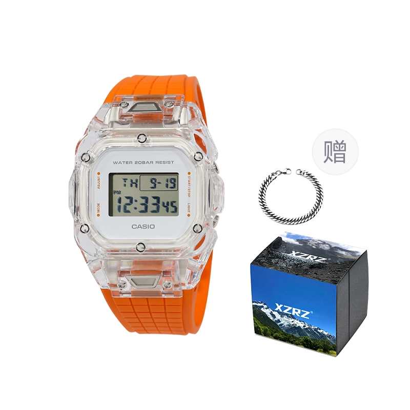 CASIO DW-5600WS-4