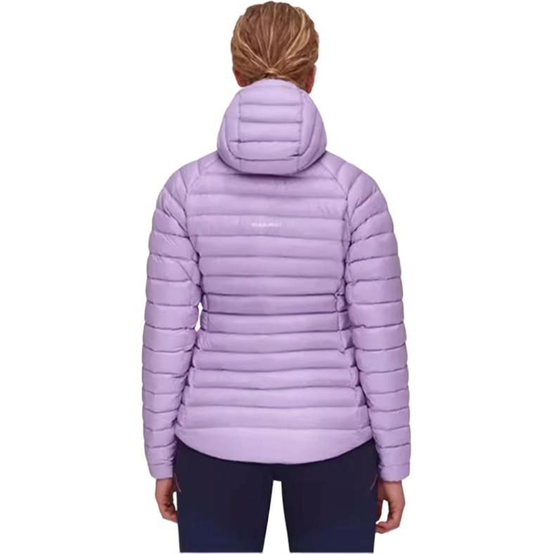 MAMMUT Broad