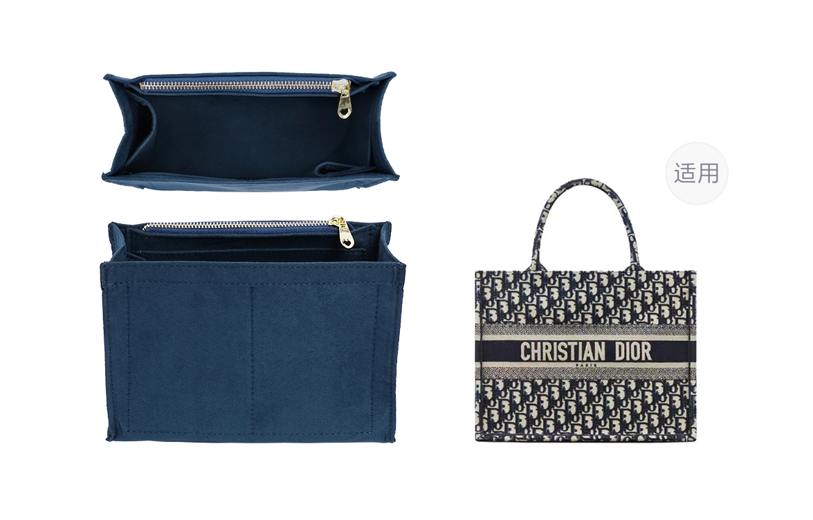DIORBookTote