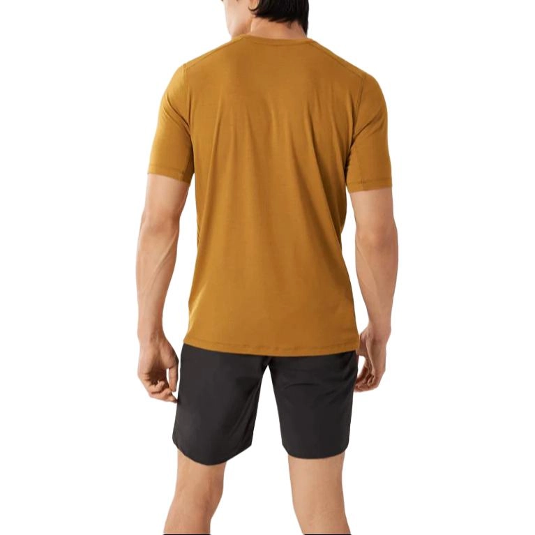 Arcteryx SS23 Ionia Merino Wool T
