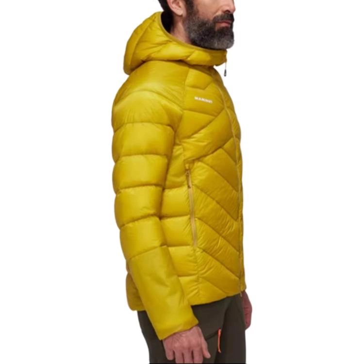 MAMMUT Taiss