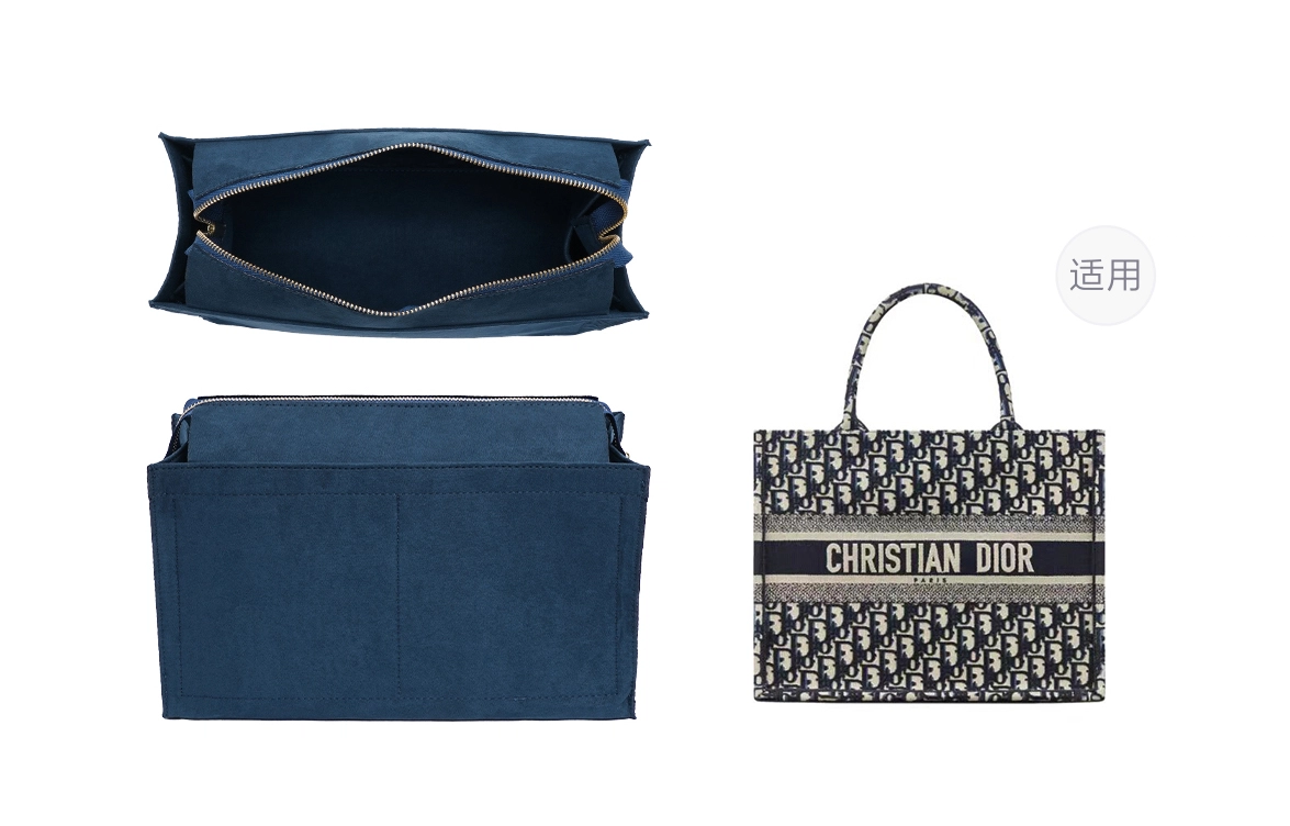 DIORBookTote