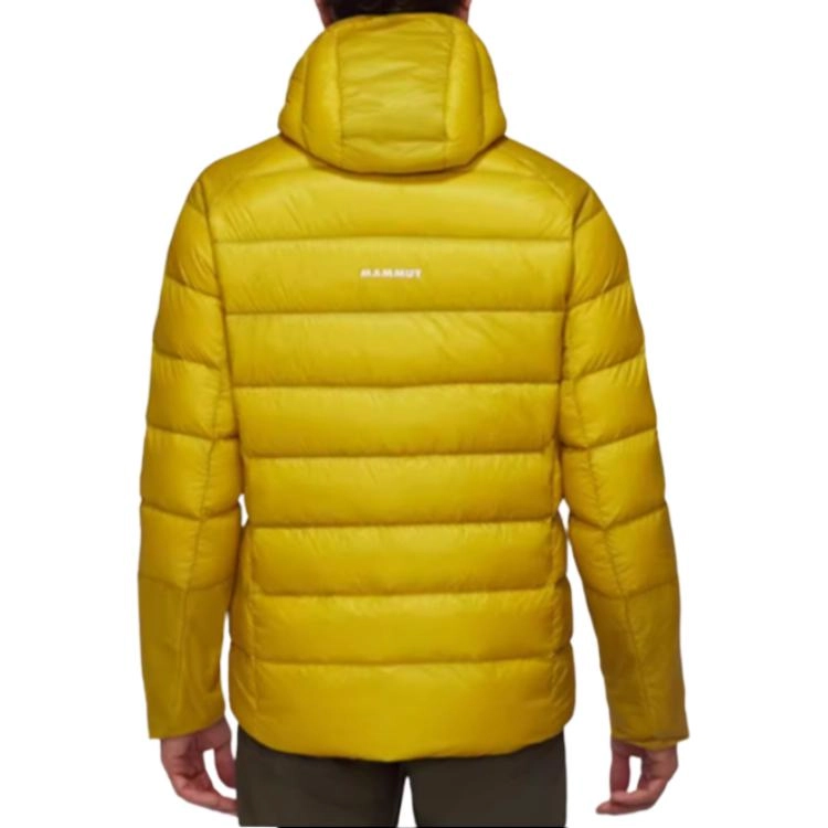 MAMMUT Taiss