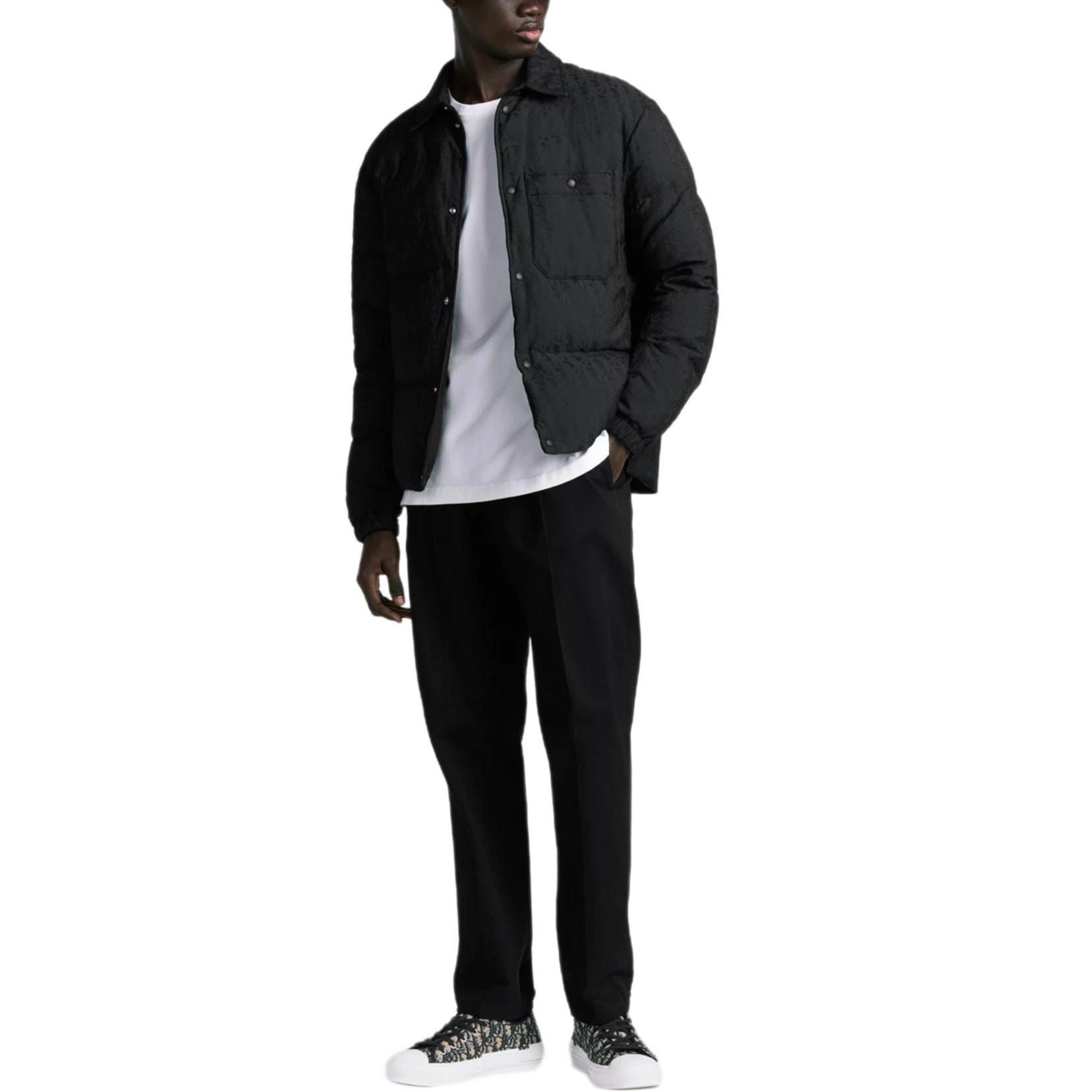 DIOR FW24 logo