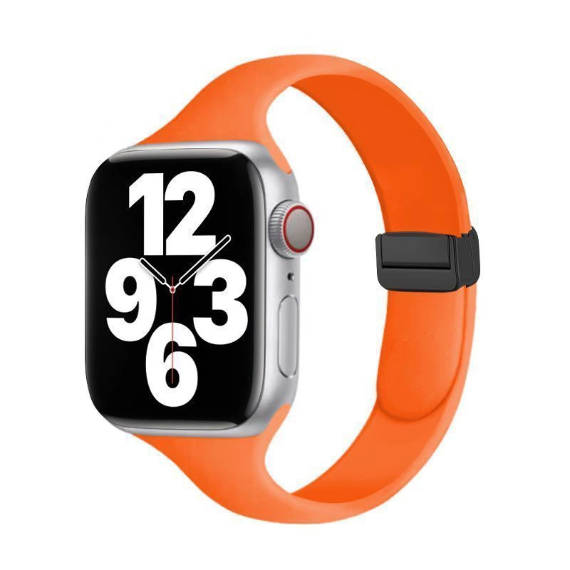 applewatch87654321SE